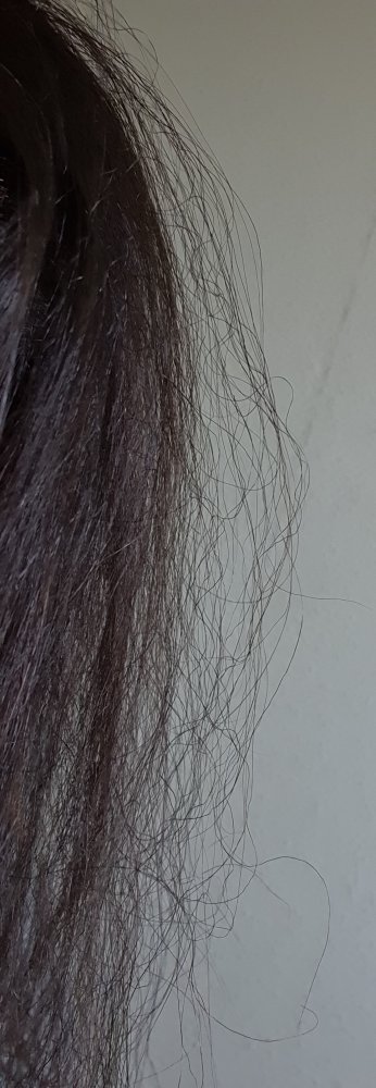20230313_141107.jpg