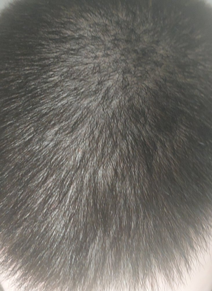 20230921_185925.jpg