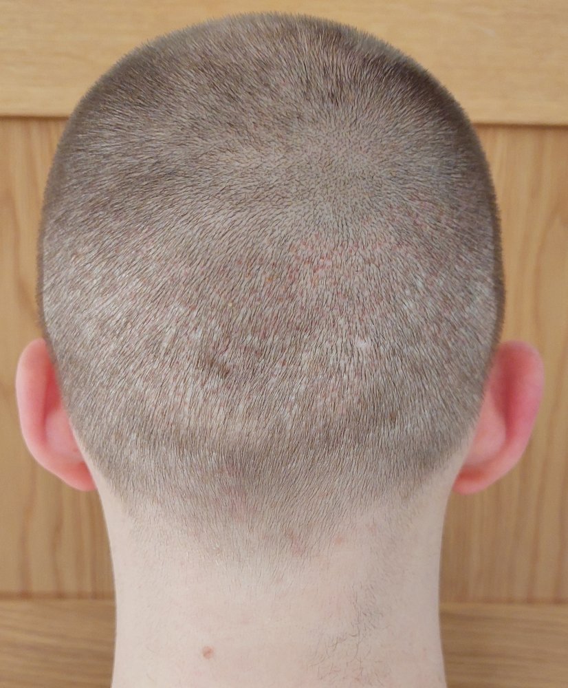Day 12 (7).jpg