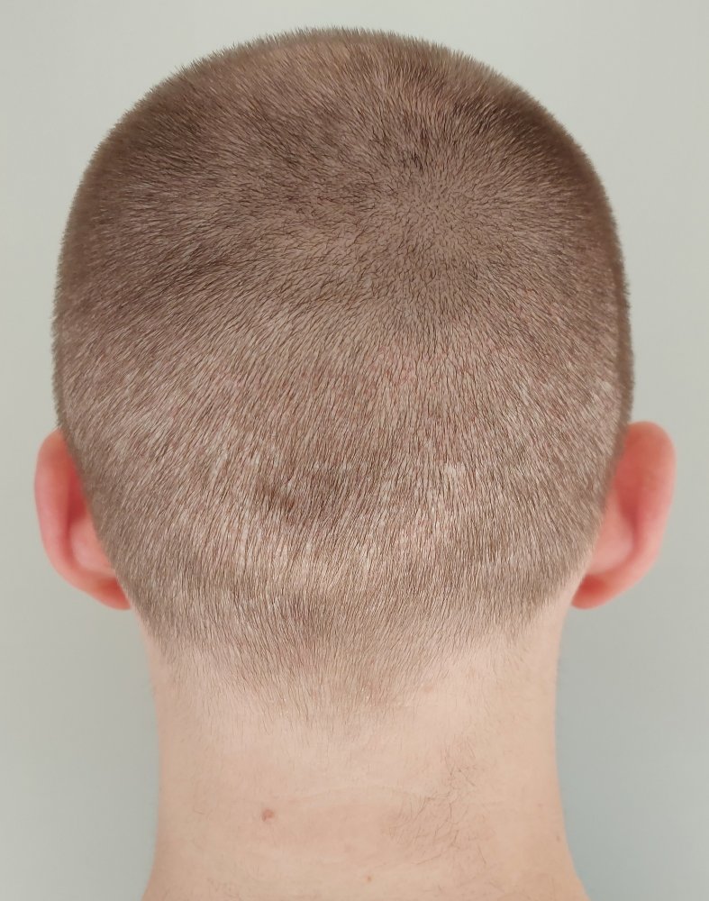 Day 15 (8).jpg