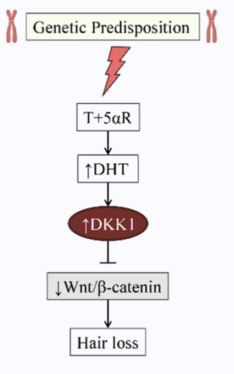 Image11.png.5c27d7abe4af719c4150191baa306d39.png
