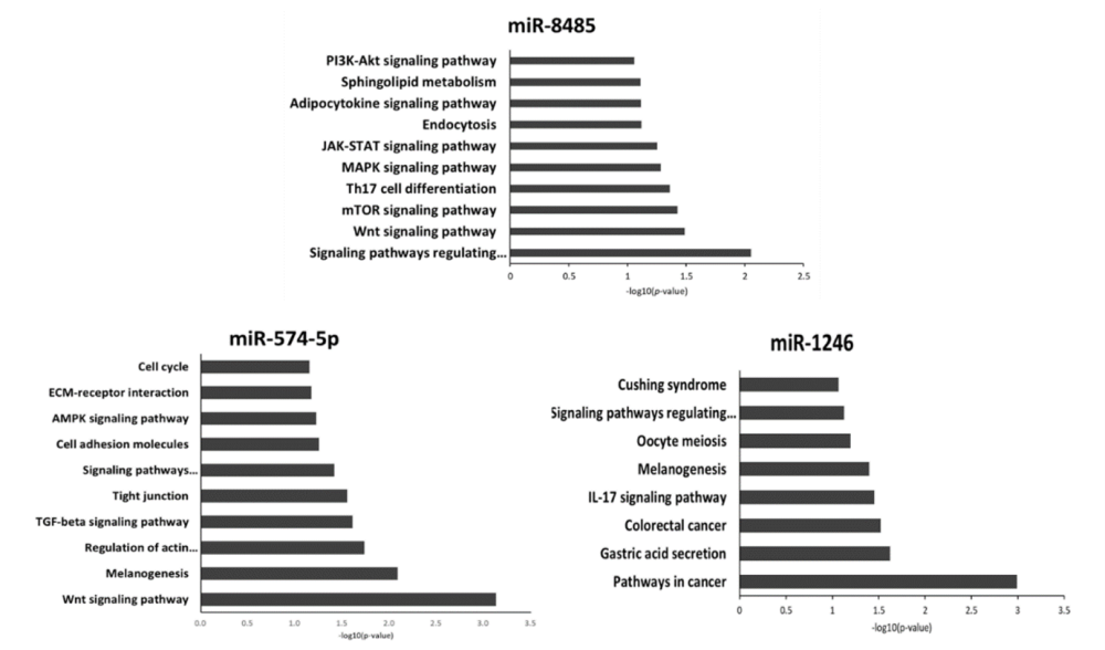 Image20.png.bac217be9844f3813d4a5efe0cfa46ea.png