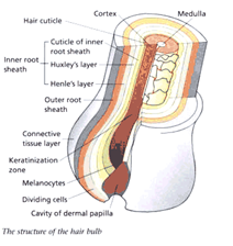Image4.png.90625c3301cfbe4d6d24bd9ad395b2df.png