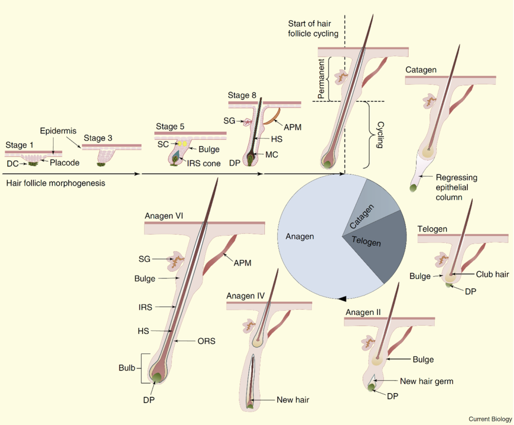 Image7.png.32de2c0dce4b53233a249fe215ed5c41.png