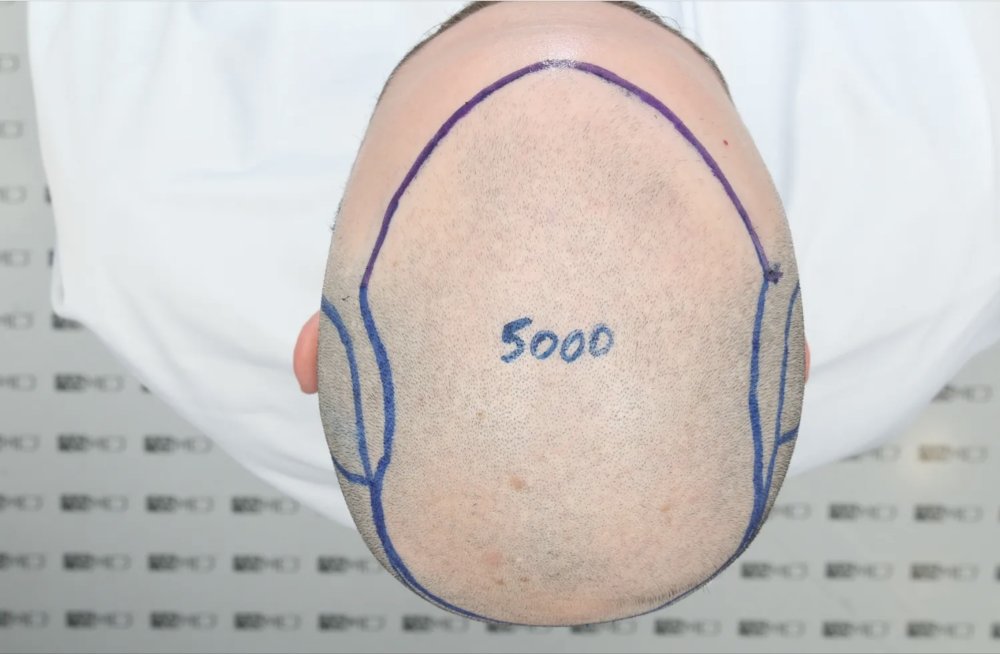 IMG_3440.jpeg