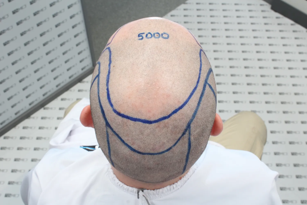 IMG_3678.png