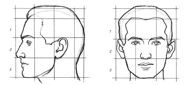 male-hairline.jpg