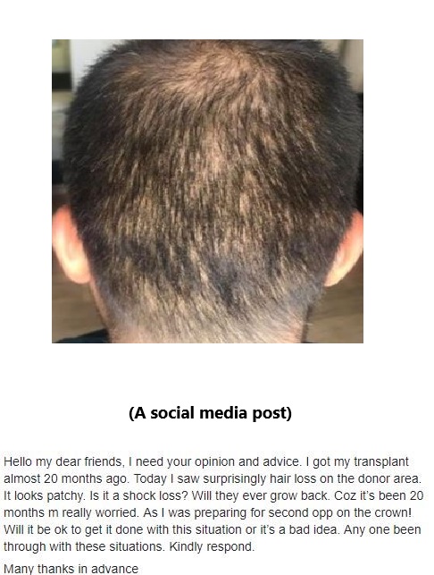 quote-social.media.JPG