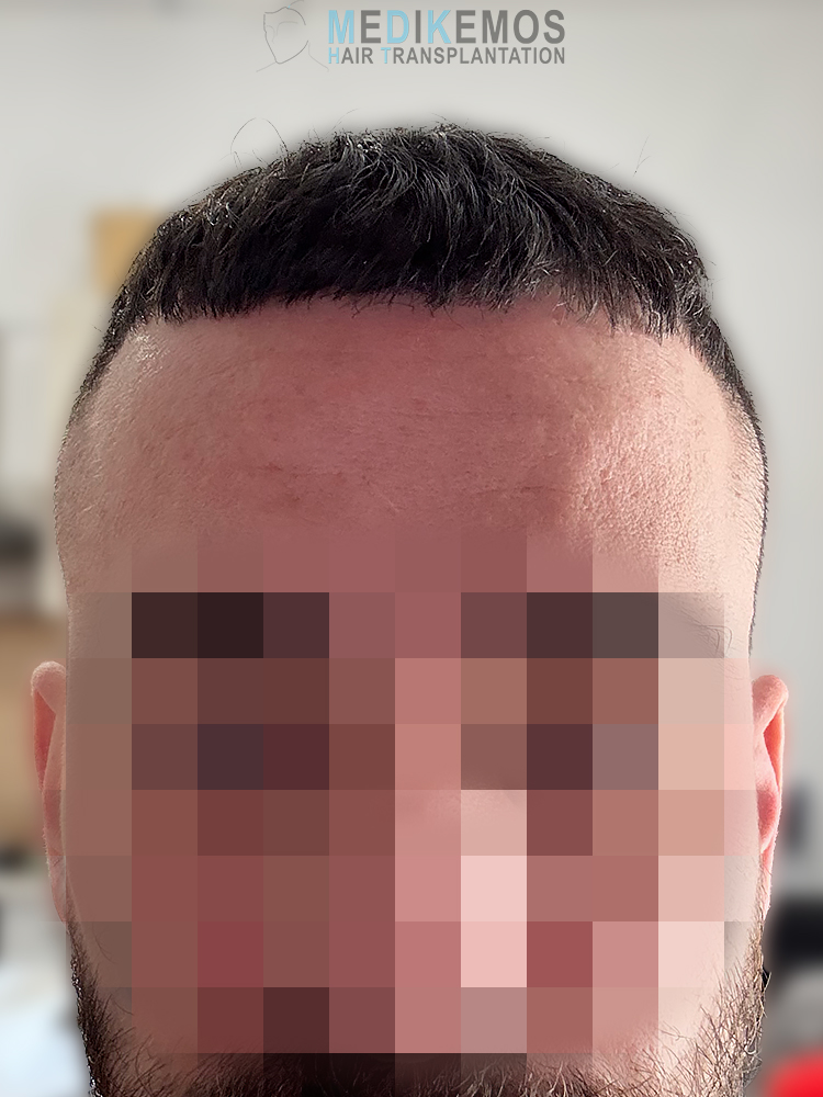 SP-12months-1.jpg