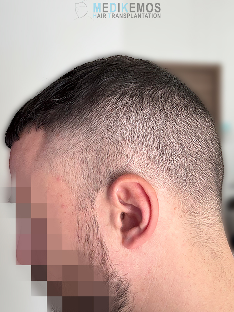 SP-12months-2.jpg