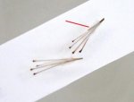 4 hair grafts.jpg