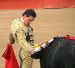 bullfighter3.jpg