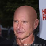 Harrison-Ford-shaved.jpg