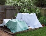 4,8,_tomato_tents[1].jpg