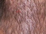 Short closeup.JPG