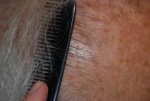 Post BHT in close-up.jpg
