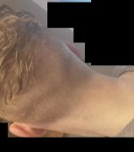 Day 7 Post Wash 9.jpg