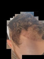 Day 7 Post Wash 10.jpg