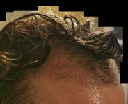 Day 17 wet 2.jpg