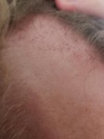 Week 11 temple growth.jpg