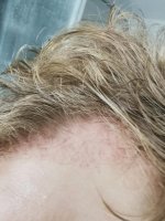Week 11 temple growth3.jpg