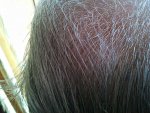 IMG_20130919_010858.jpg