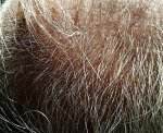 IMG_20131120_050236.jpg
