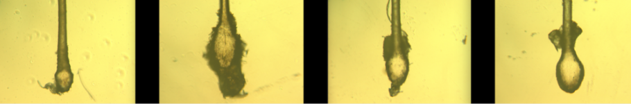 Untitled 6.png