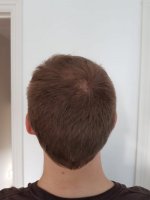 Back.jpg