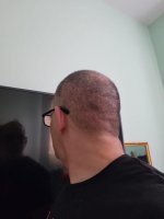 two weeks 2.jpeg