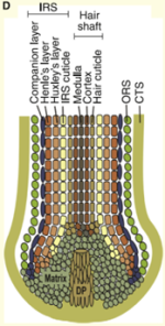 Image2.png.f3c28a66618aafa1afe66603f4a14eab.png