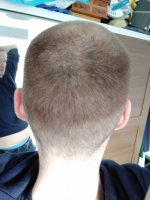 IMG_20240401_095914_1.jpg