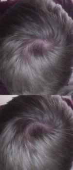 IMG_3331.jpeg IMG_3331.jpeg