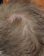 IMG_3315.jpeg IMG_3315.jpeg