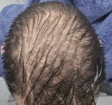 6month_wet_crownview.jpg