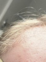 IMG_3013.jpeg