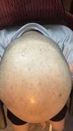 IMG_9219.jpeg