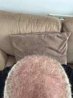 IMG_2581.jpeg