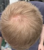 IMG_1500.jpeg IMG_1500.jpeg