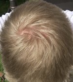 IMG_3935.jpeg