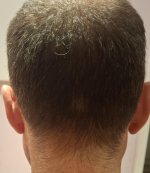 Hair 6.jpg