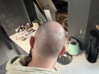 IMG_2893.jpeg