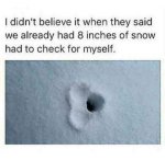 4263.jpg