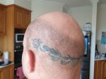 9. Rear Left. 20190320_104451.jpg
