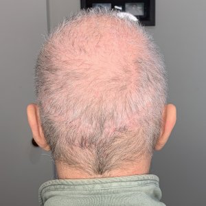 Back.jpg