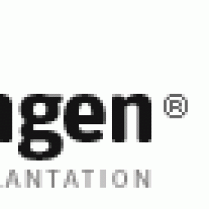 hattingen-hair