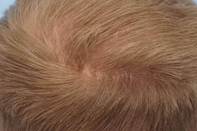 3851_301055_200000000.jpg