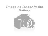 754_271456_310000000.jpg